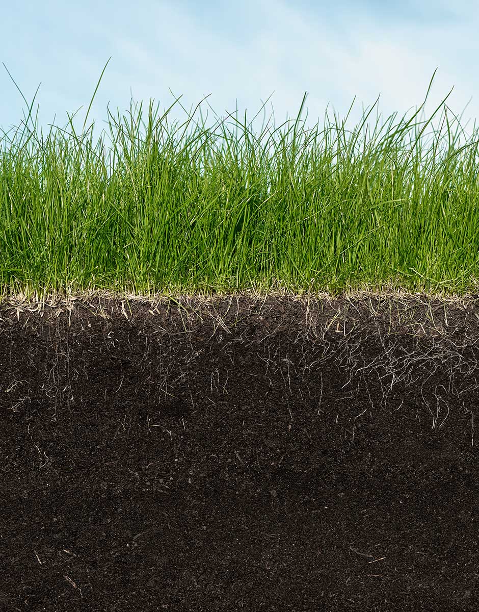 radon FAQ